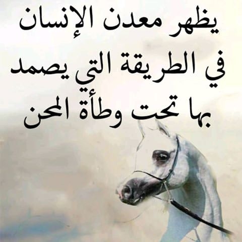 Arabic quote