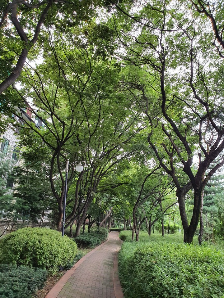 my neighborhood