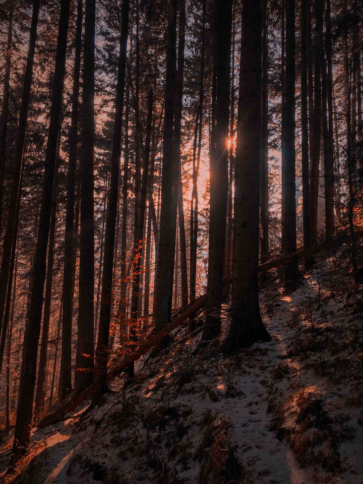 deep sun