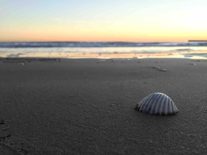 sea