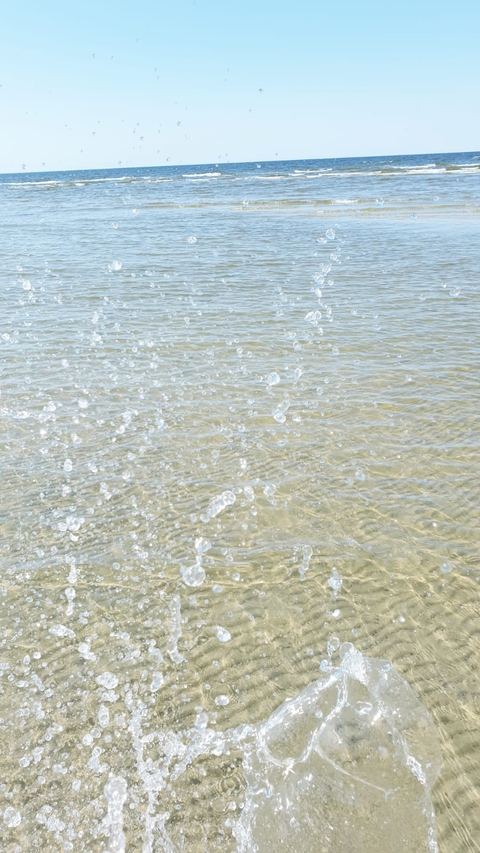 sea