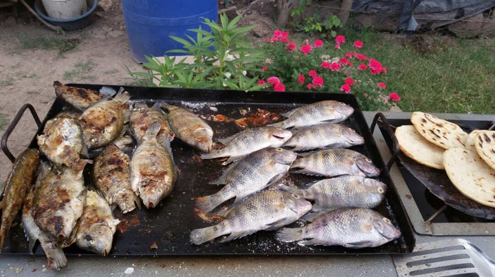 delicious fish