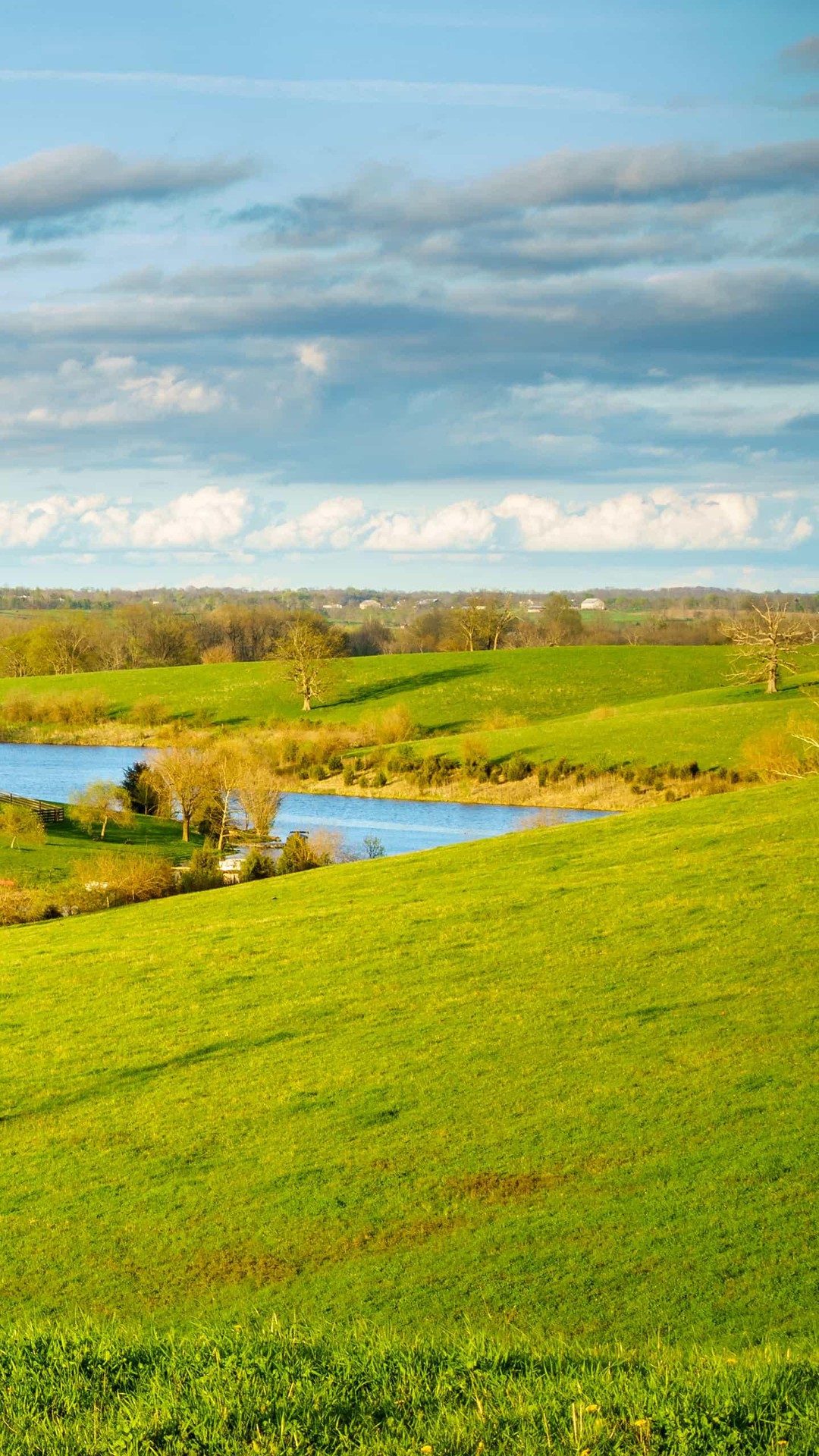 ταπετσαρίες green, nature