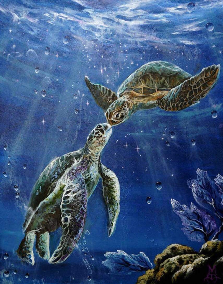 Sea Turtles
