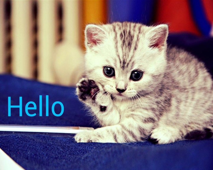 hello kitty