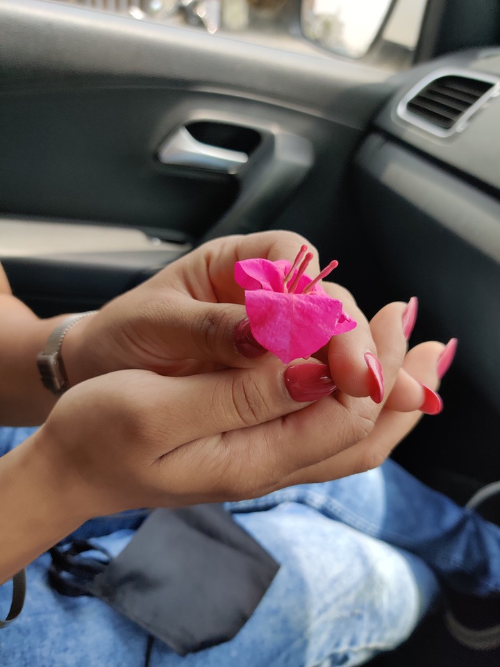 flower
