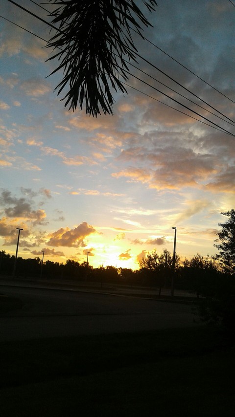 Beautiful Florida sunrise.