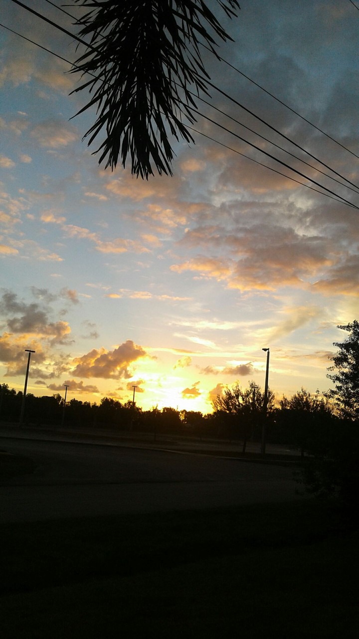 Beautiful Florida sunrise.