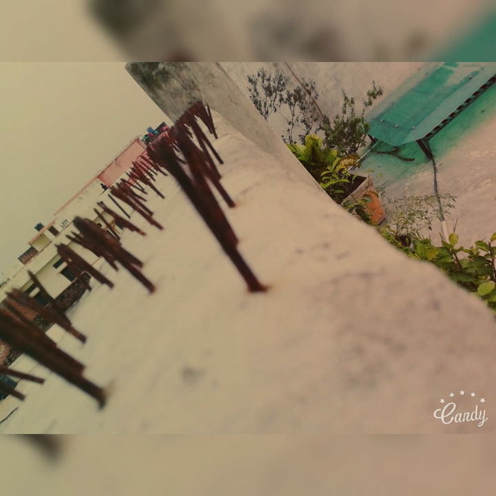 monsoons gift