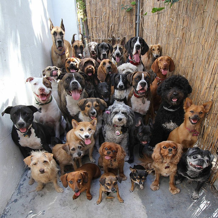 The gang's all here