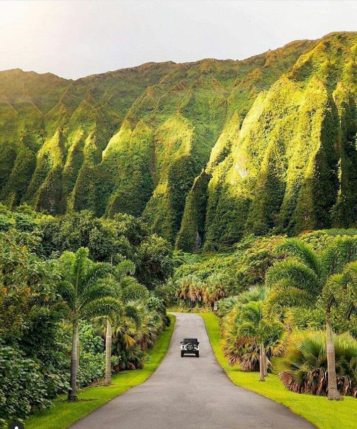 HAWAII