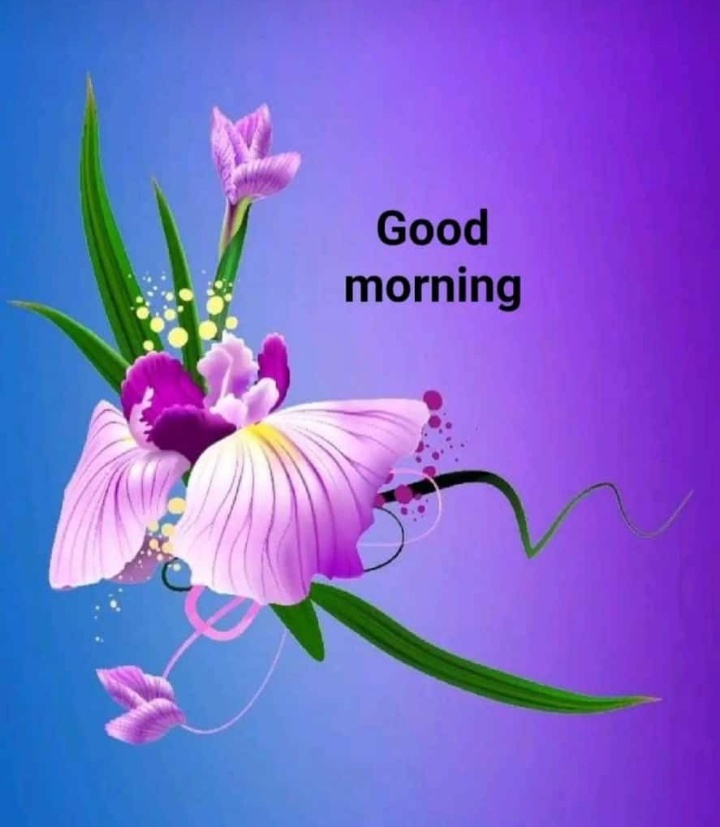 Have a entertaining daY