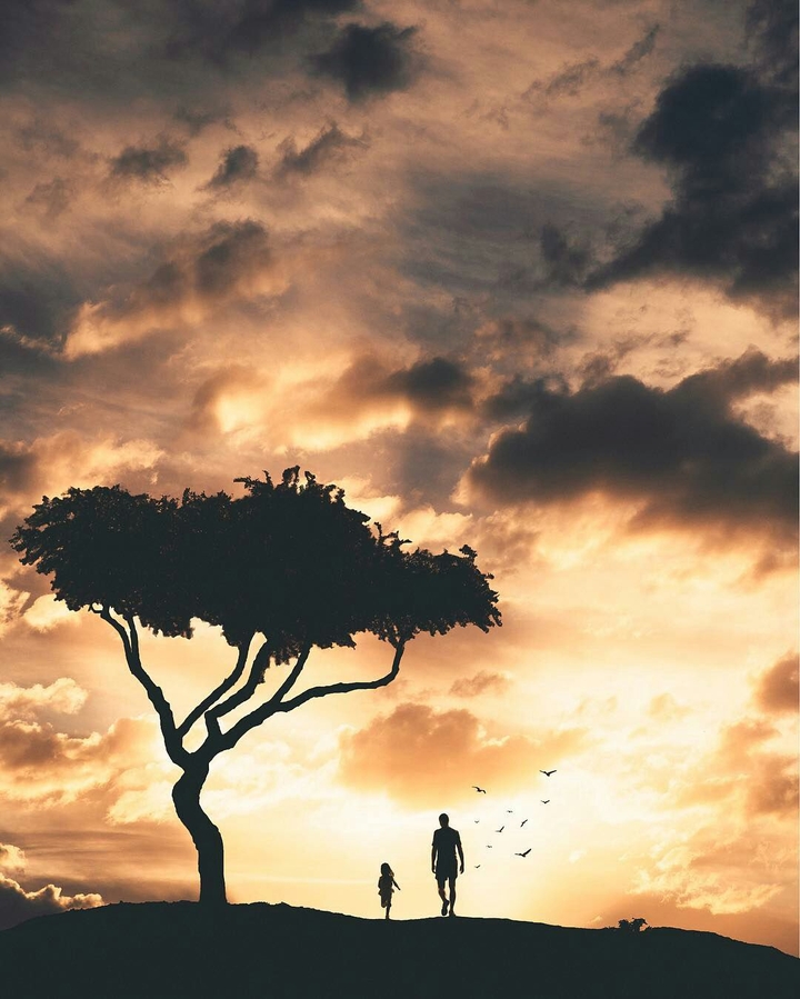 Dream