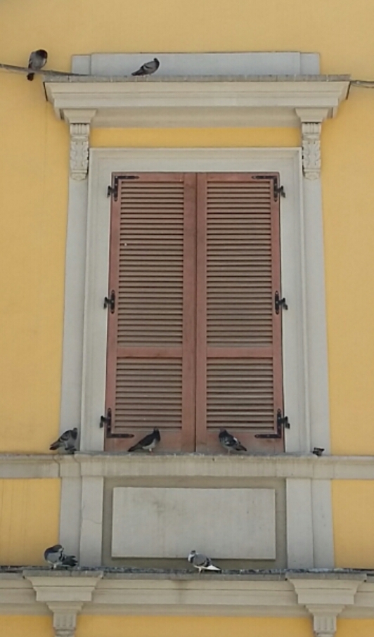 Siesta