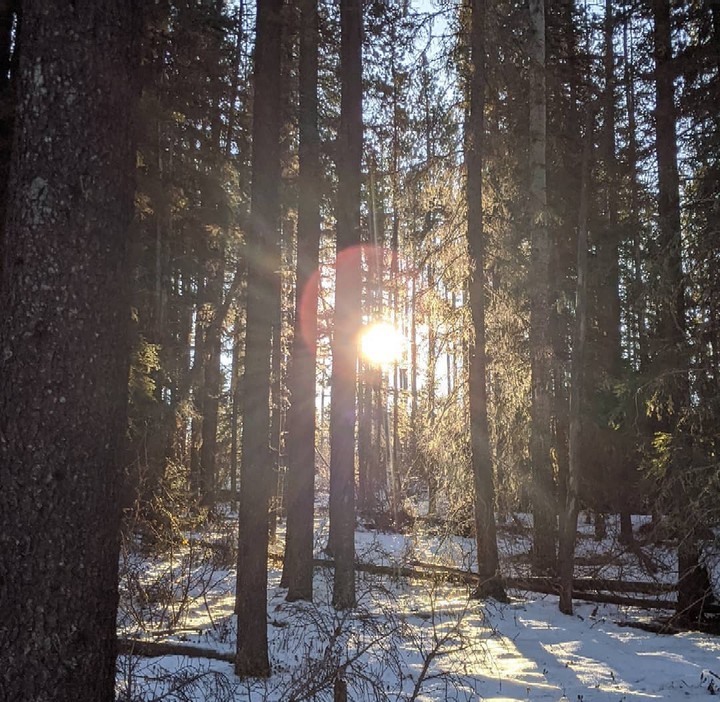 Sunlight Beauty