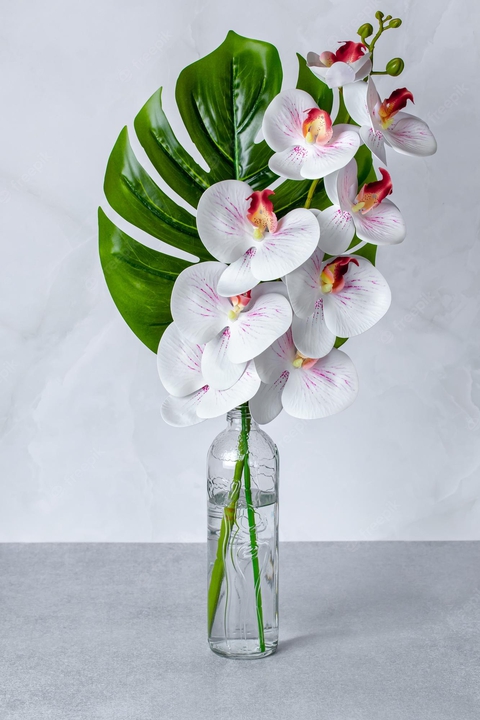обои Vase, tableware