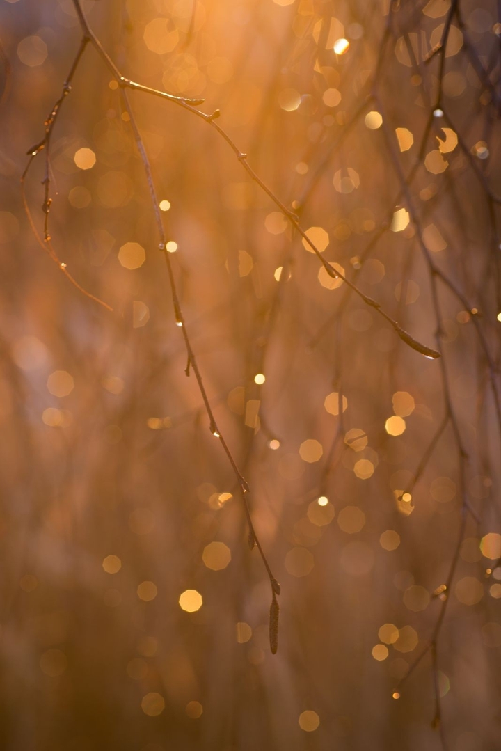 bokeh with rain drops