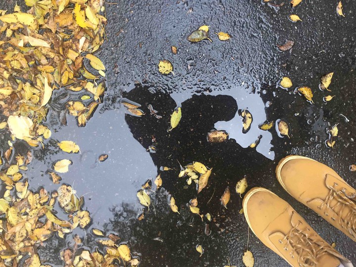 Autumn