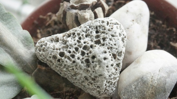 крымские кораллы:))