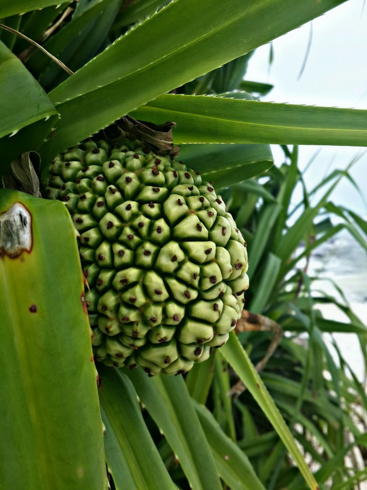 keyvake