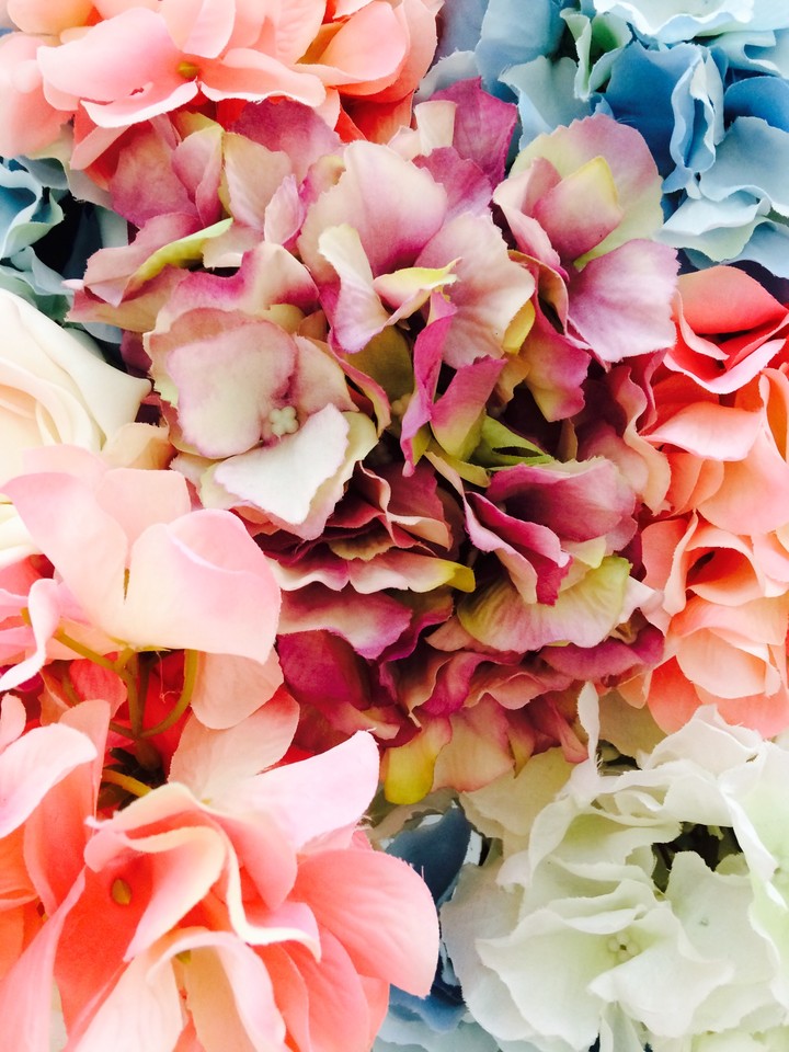 flowers