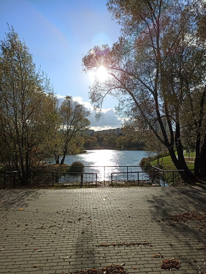 в парке