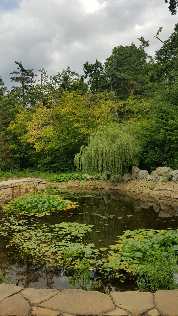 Botanical garden