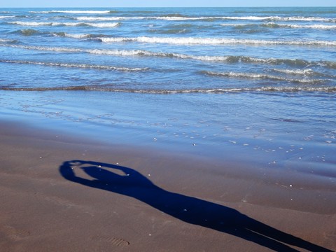 shadow lover