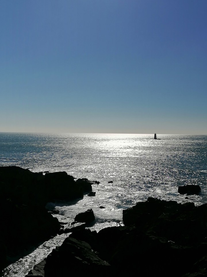 Ocean