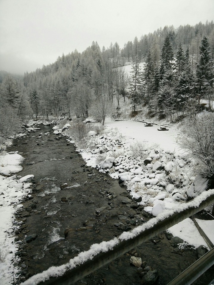 Snowy landscape