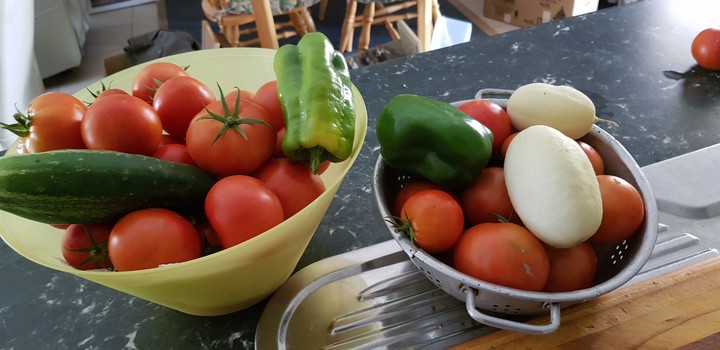 produce from garden.