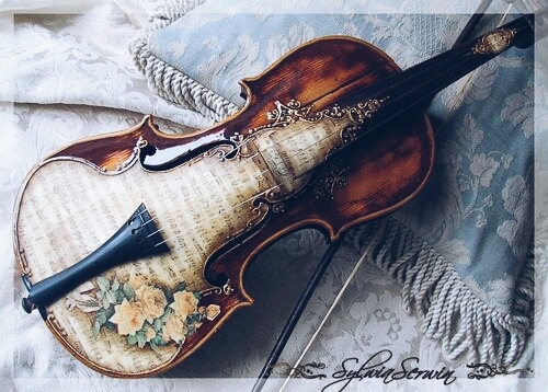 Violin