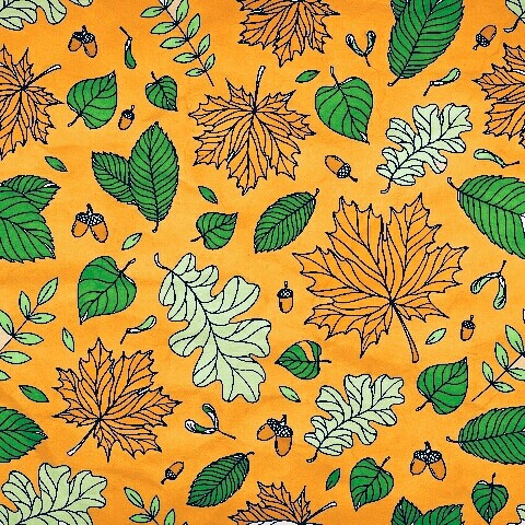 leaf