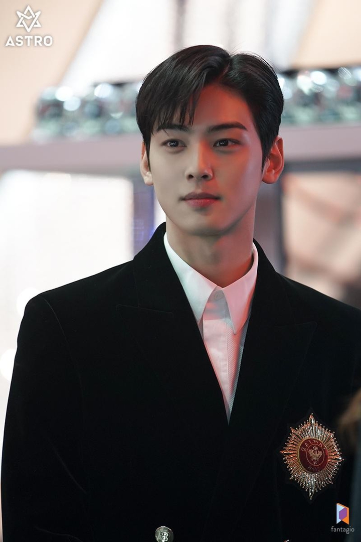 Korean actor ChaEunwoo