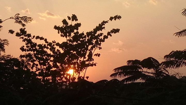 sunset