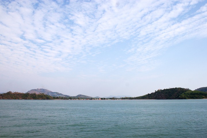 Scenics