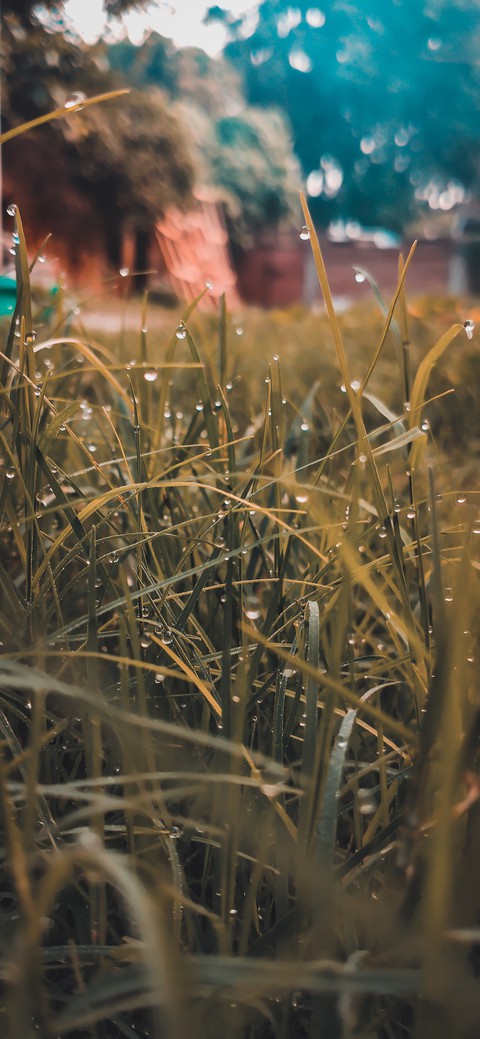 Droplets