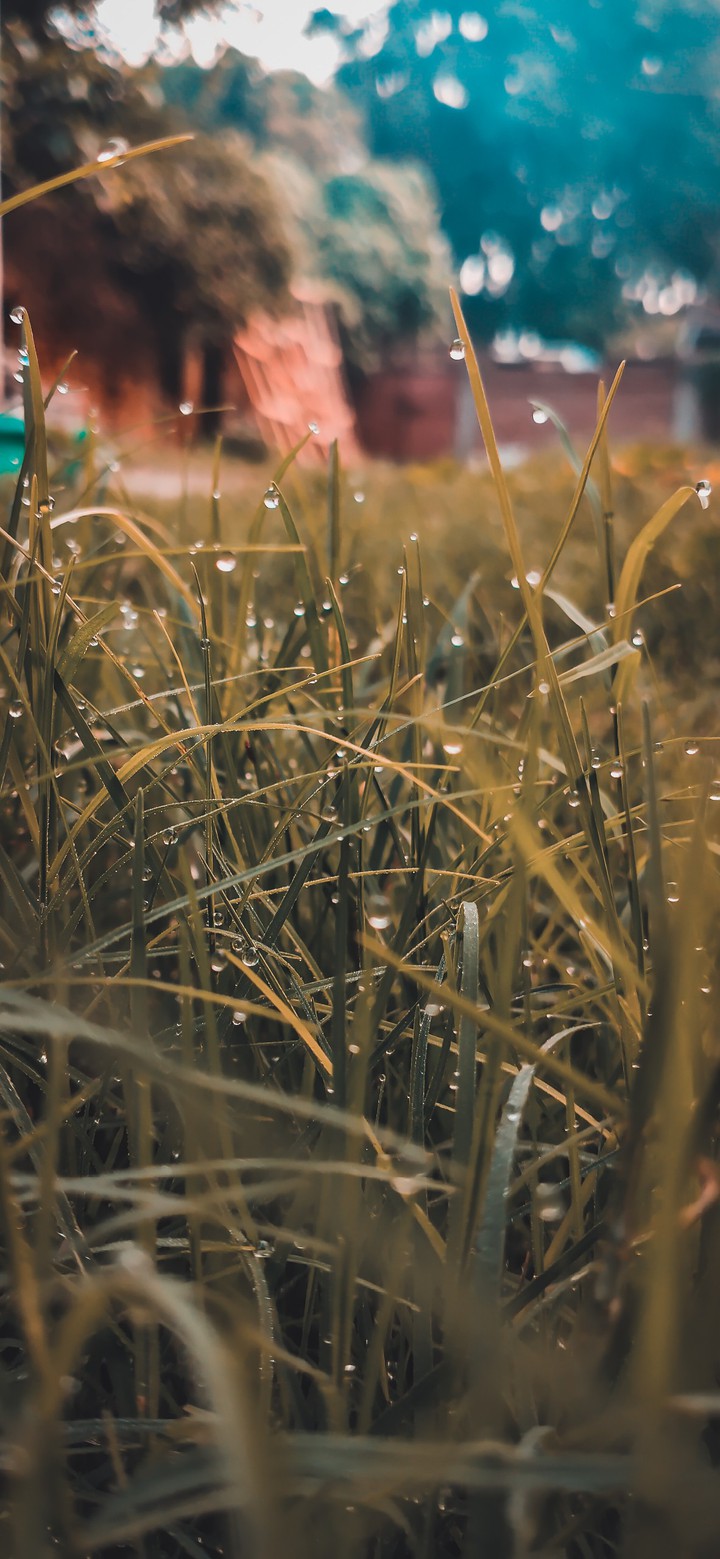 Droplets