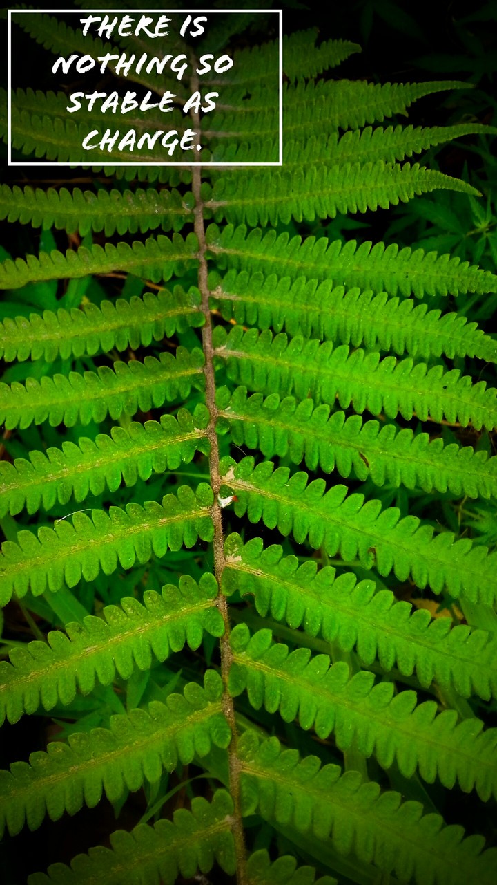 green leaves