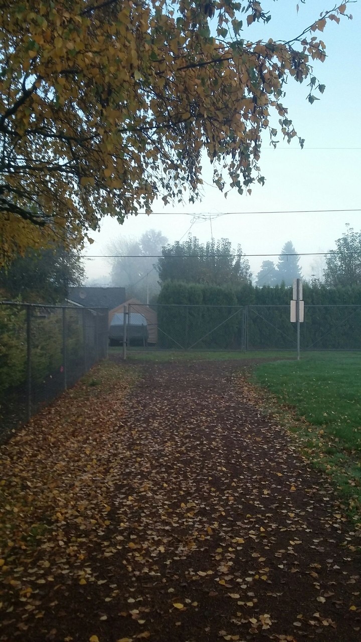 road behind