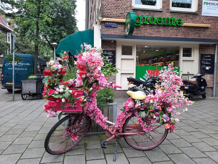 a pink flower bike
