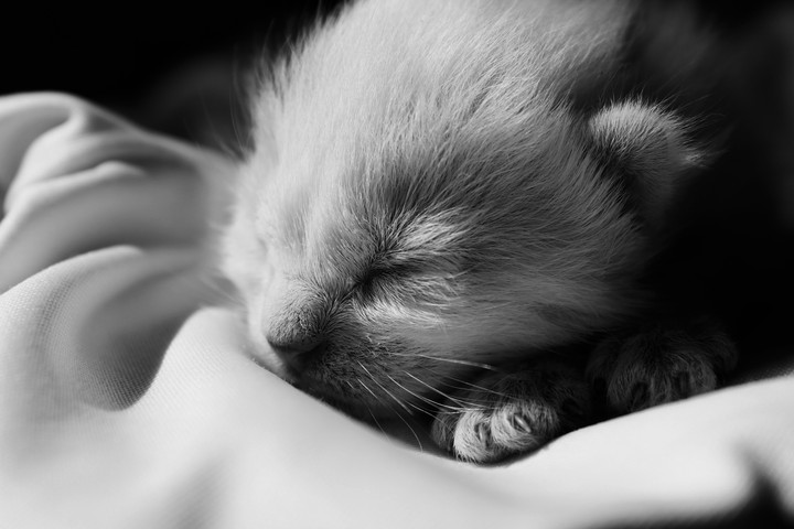 Innocence