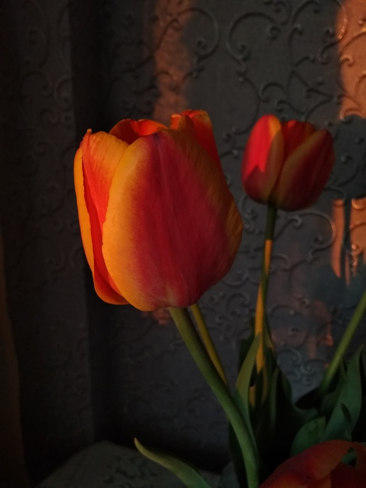 flowers