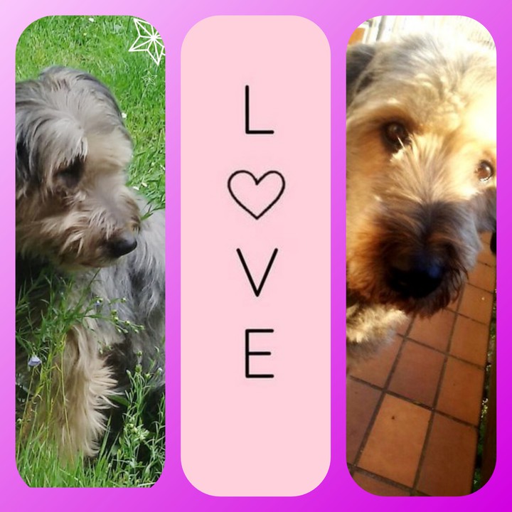 my big Love ~ she dies a few days ago