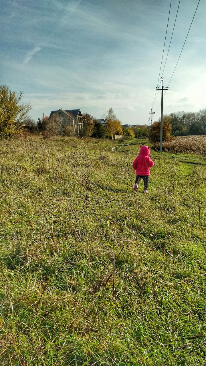 field