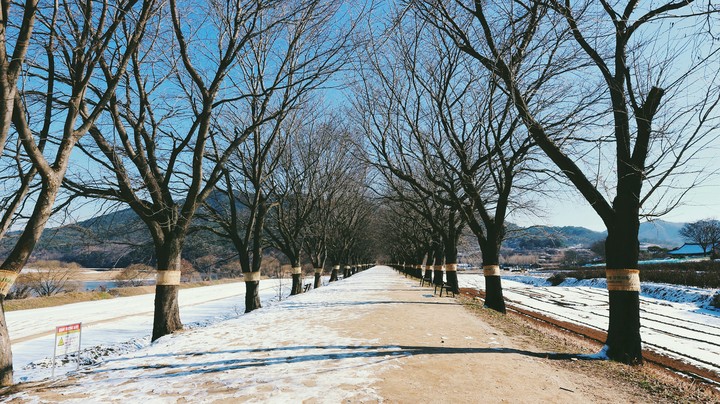Winter