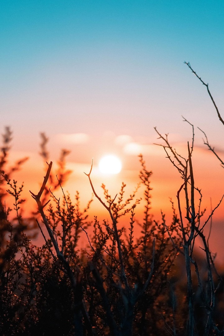 dusk