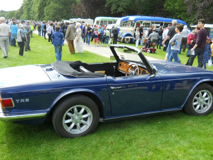 triumph tr6