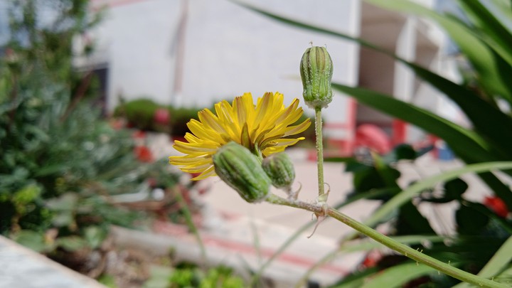 nature