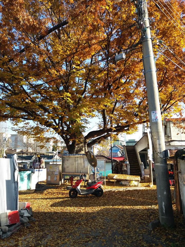가을